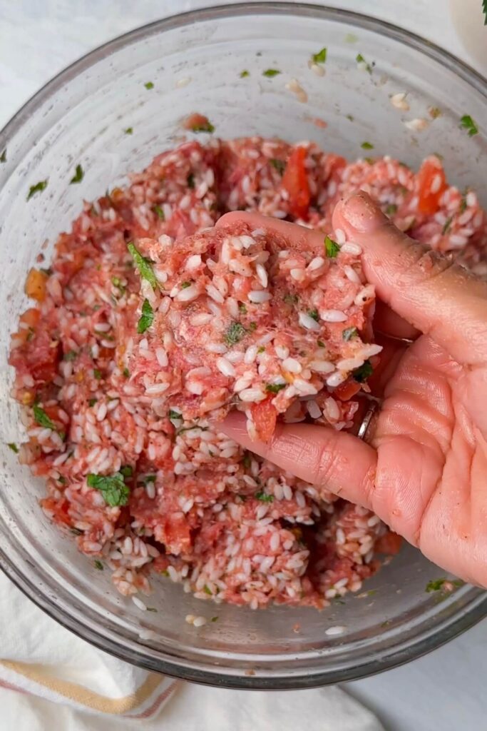 zucchini stuffing mixture