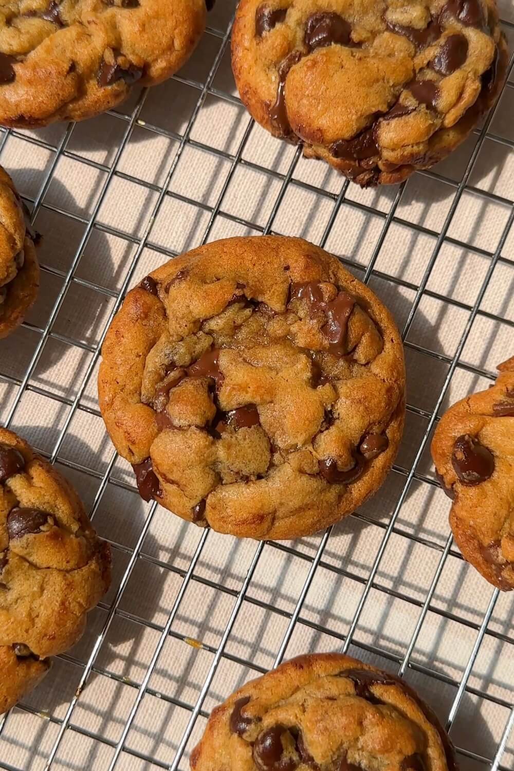 https://foodima.org/wp-content/uploads/2023/06/chocolate-chip-cookies.jpeg